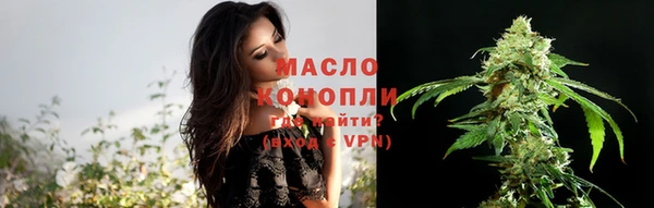 мдпв Магас