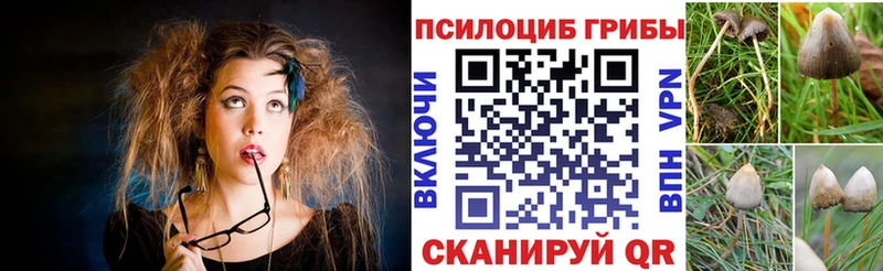 Галлюциногенные грибы MAGIC MUSHROOMS  Торопец 